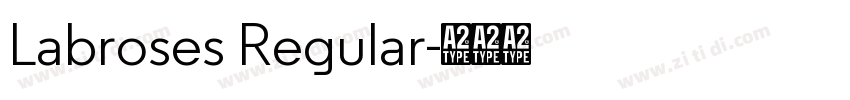 Labroses Regular字体转换